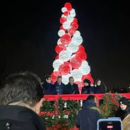 Fabrizio Sala, Ghribi e Rotelli accendono l'albero di Natale del San Raffaele 
